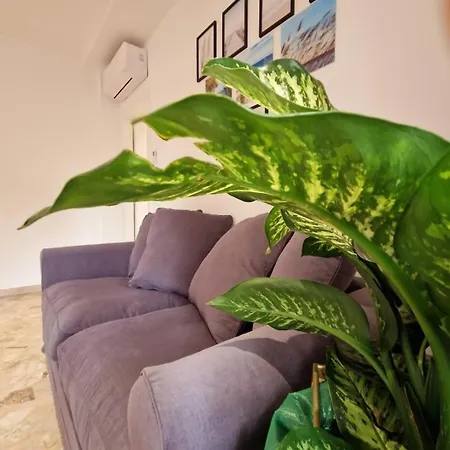 Casetta Dante * Ravenna